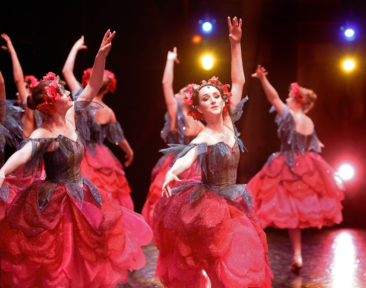 Behind the scenes at Maine State Ballet's ‘The Nutcracker’ The